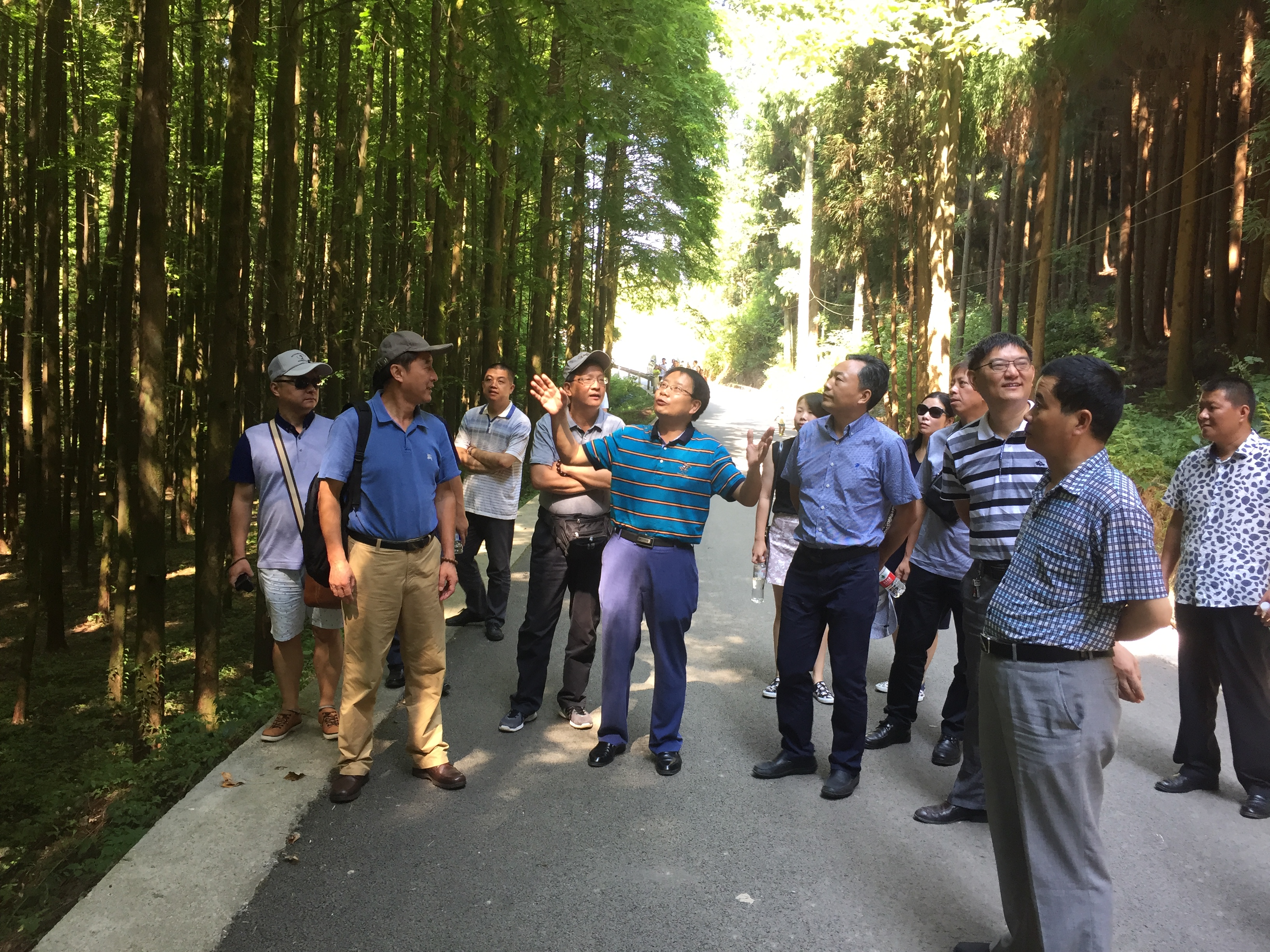 南川区林木良种场